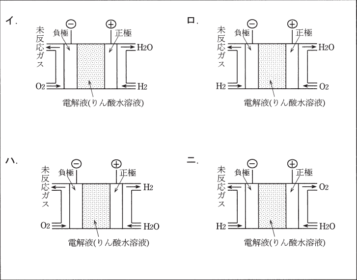 選択肢図