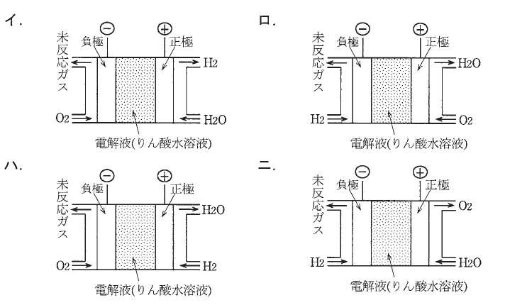 選択肢図
